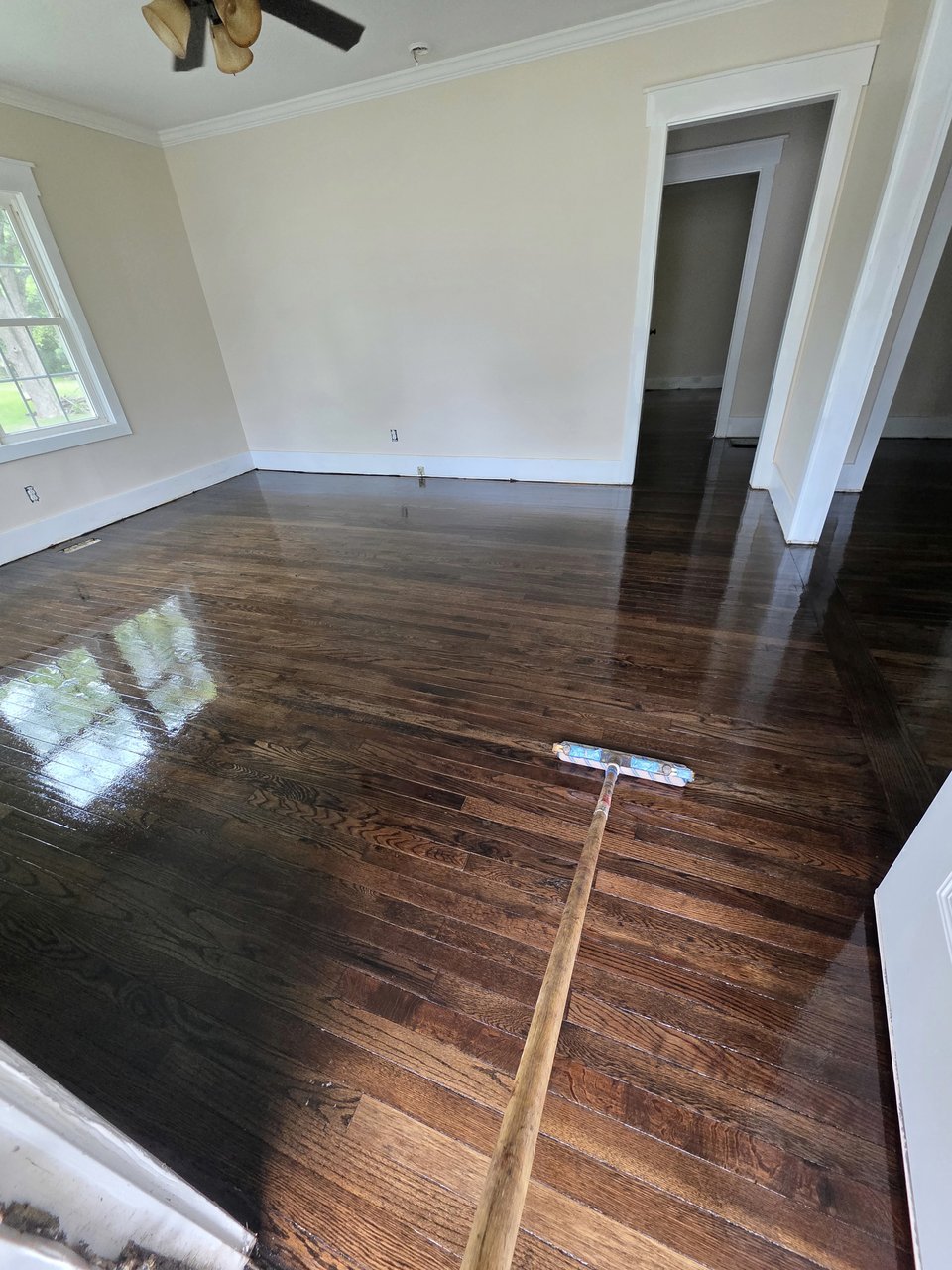 Finished floor reflecting daylight near a doorway