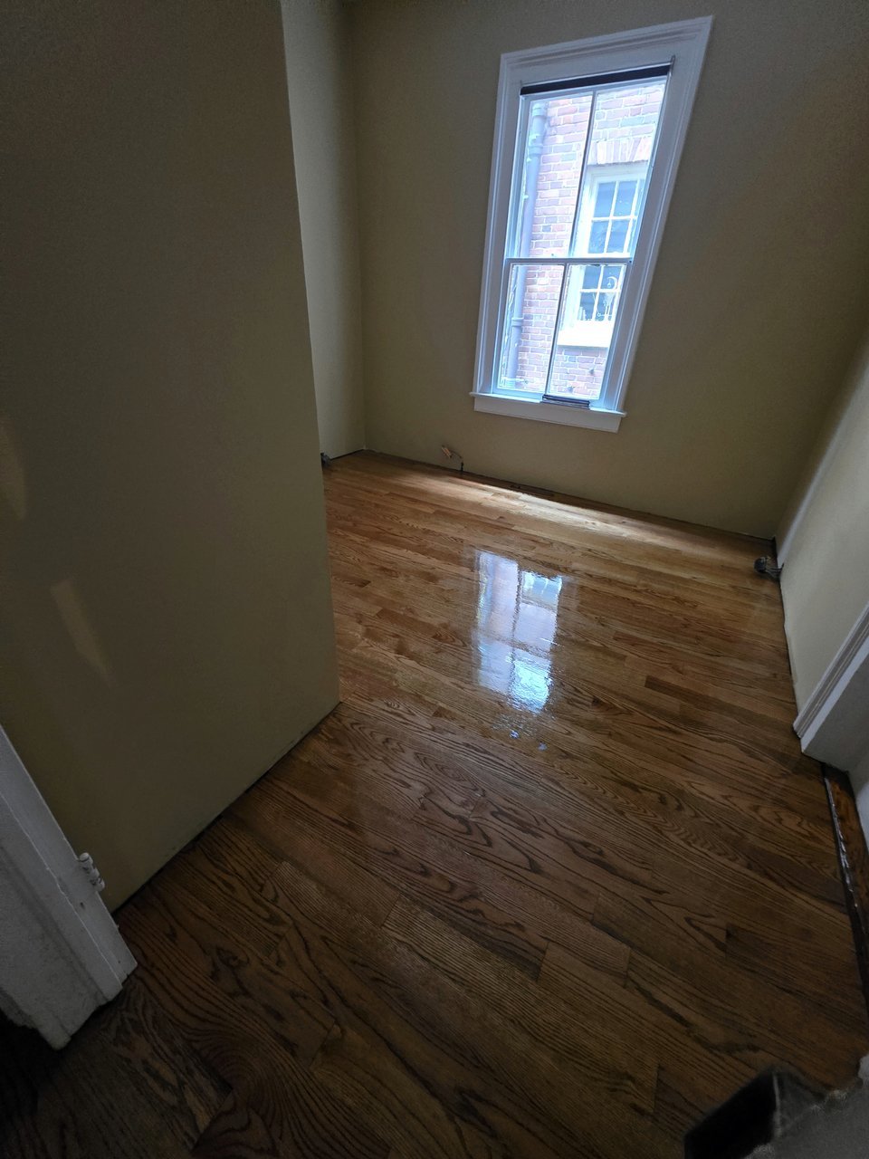 Wood floor and window reflections in a small room