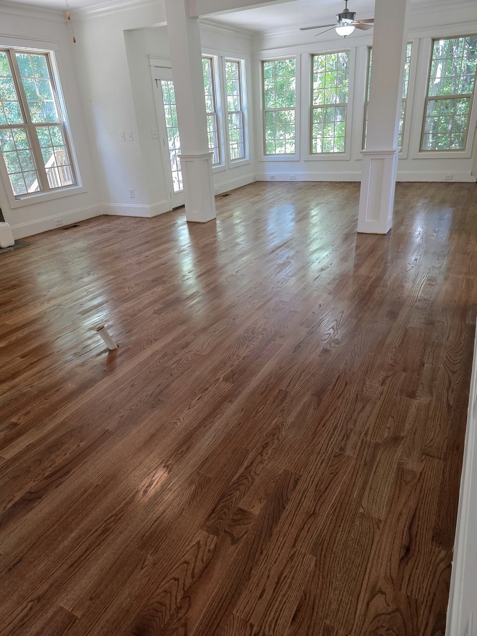 Warm wood floor in a sunlit living area